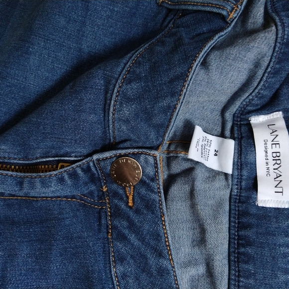 Lane Bryant - Picture 3 of 3